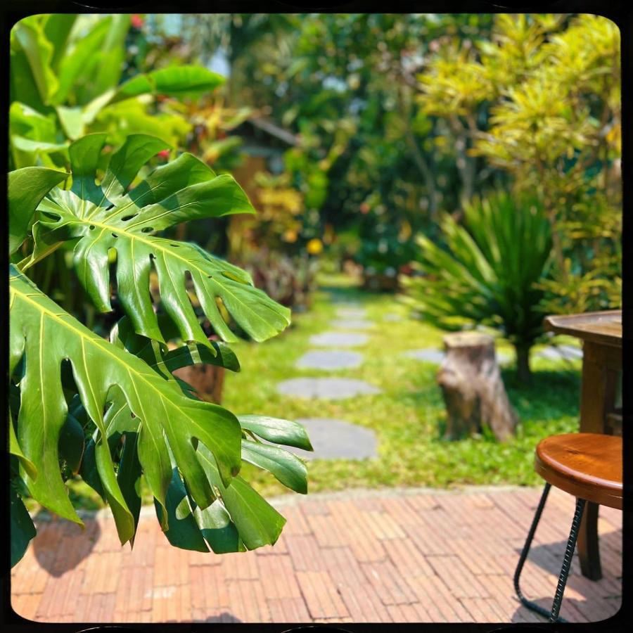 The Happy Bird B&B Hoi An Exterior photo